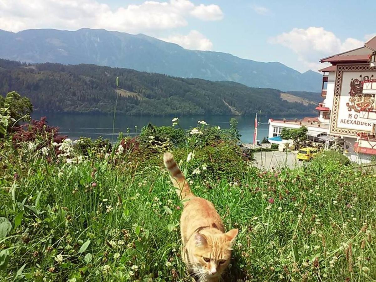 Haus Kraller-Urlaub Mit Seeblick Apartment Millstatt Bagian luar foto