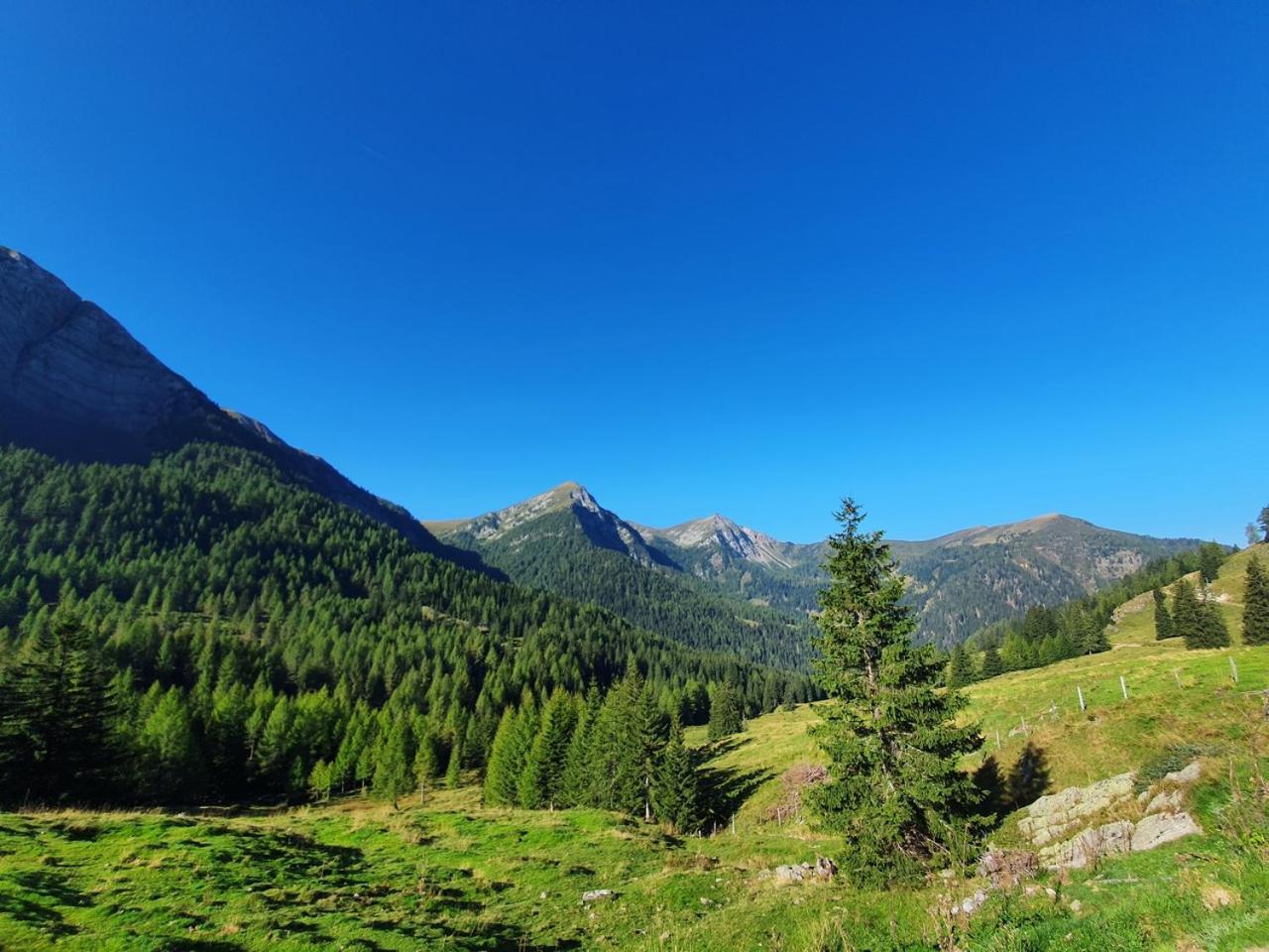 Haus Kraller-Urlaub Mit Seeblick Millstatt Bagian luar foto