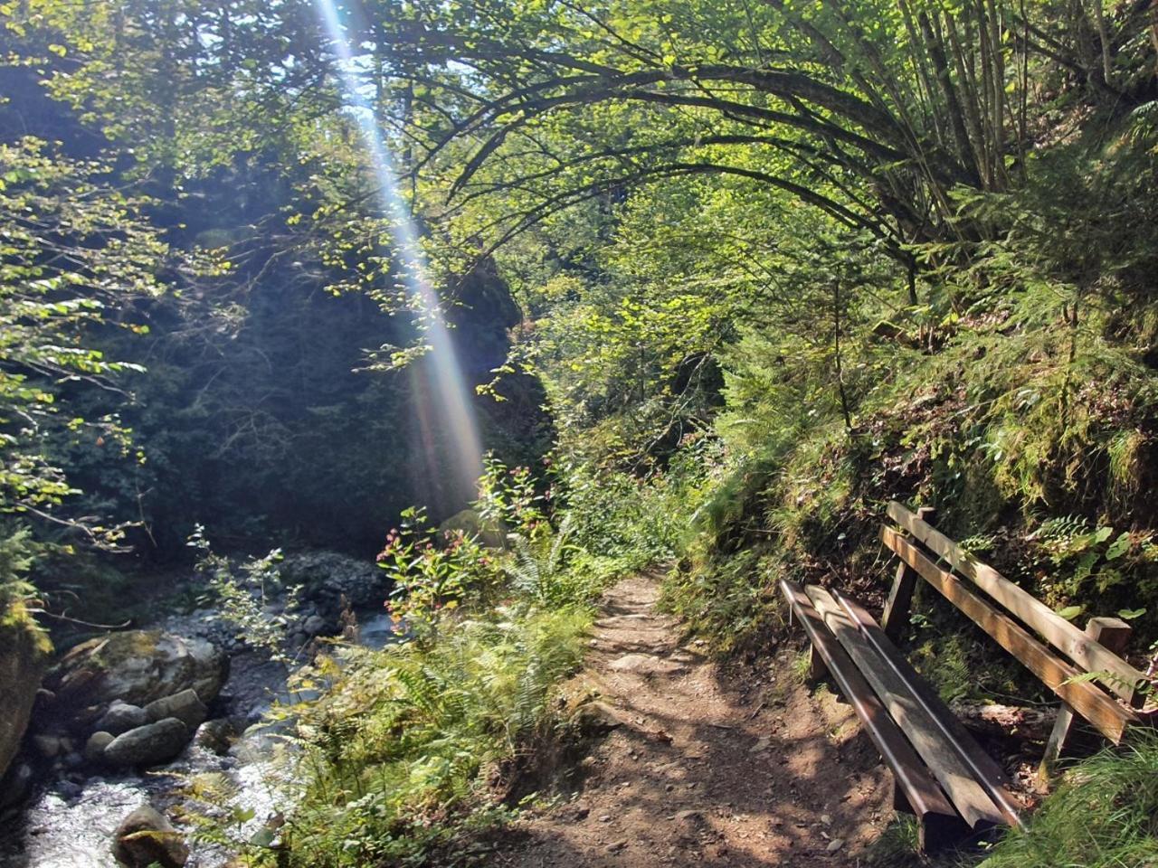 Haus Kraller-Urlaub Mit Seeblick Millstatt Bagian luar foto